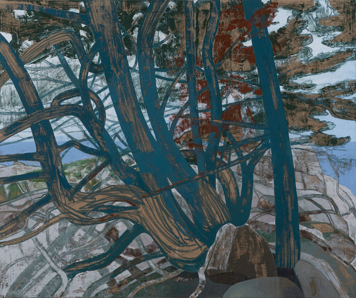 Cypress, Point Lobos