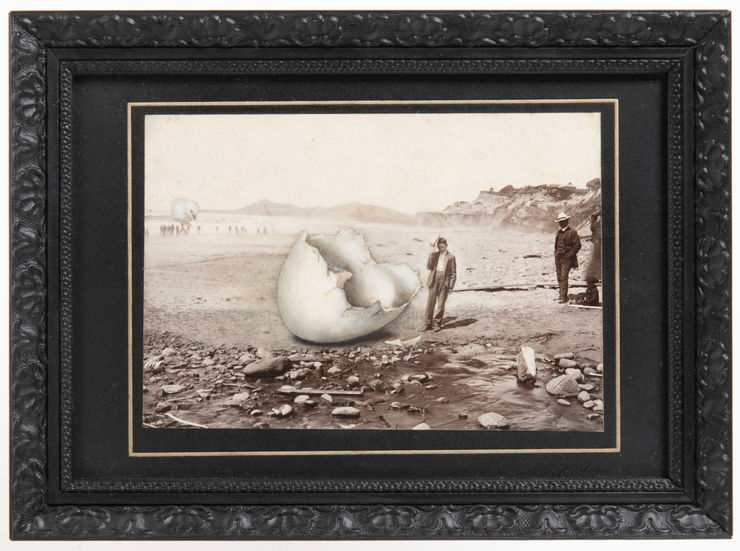 Jana Palečková, Objev, 2022