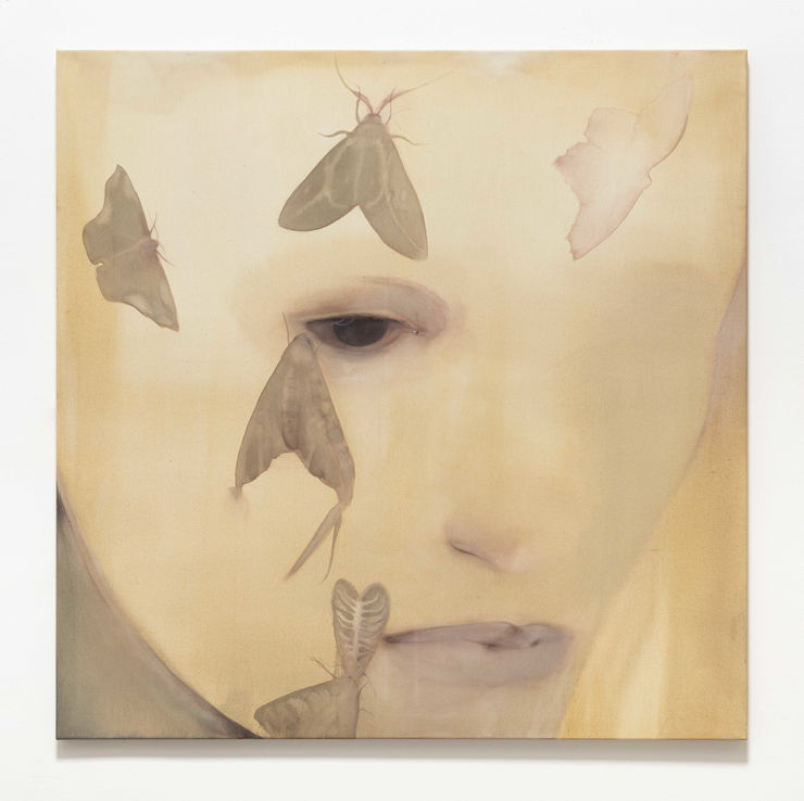 Anna Ruth, Moth's Face II, 2024