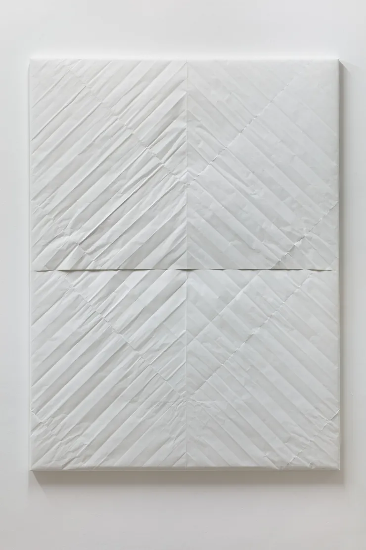 Monika Žáková, bez názvu / untitled, 2018