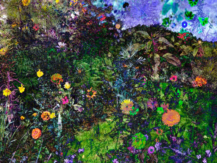 Helen Sear Small delight 2, 2020 Hahnemuhle Fine Art Pearl Paper 30 x 40 cms 11 12/16 x 15 11/16 ins