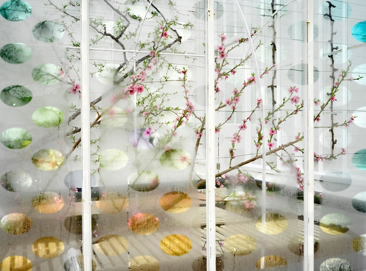 Helen Sear Please enquire for available works.