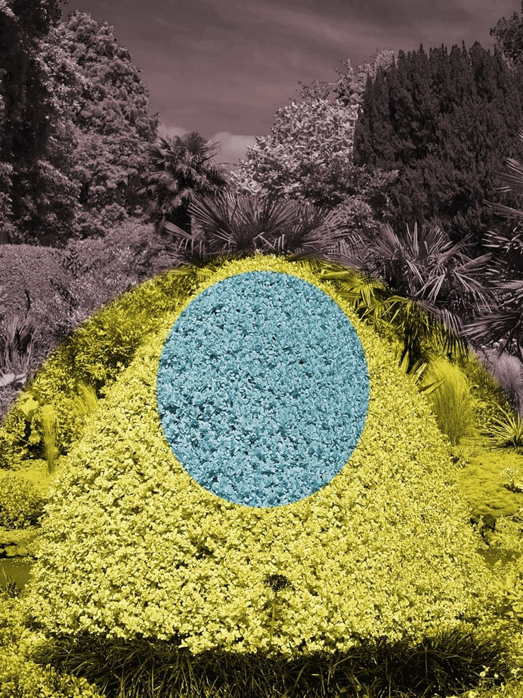 Helen Sear Surreal Bush 3, 2020 Hahnemuhle Fine Art Pearl Paper 35 x 26.4 cms 13 12/16 x 10 6/16 ins