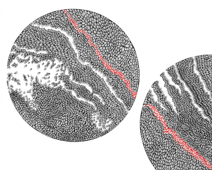 Catherine Detraves, Disruption In The Force, 2021