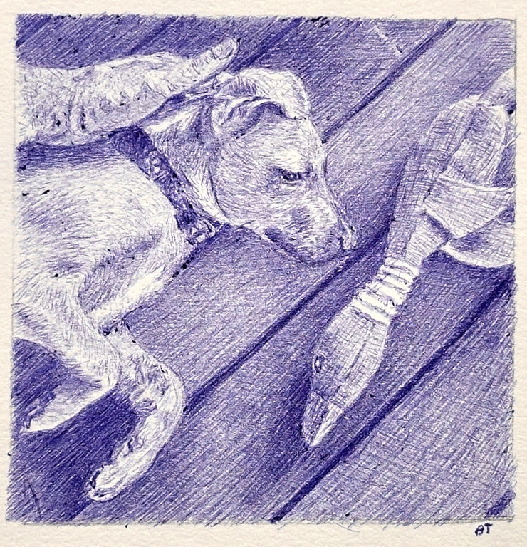 Boris Toucas, Innocence, 2025