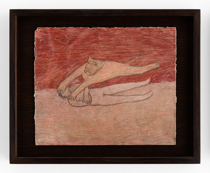 Fanny Irina, Survole, 2022