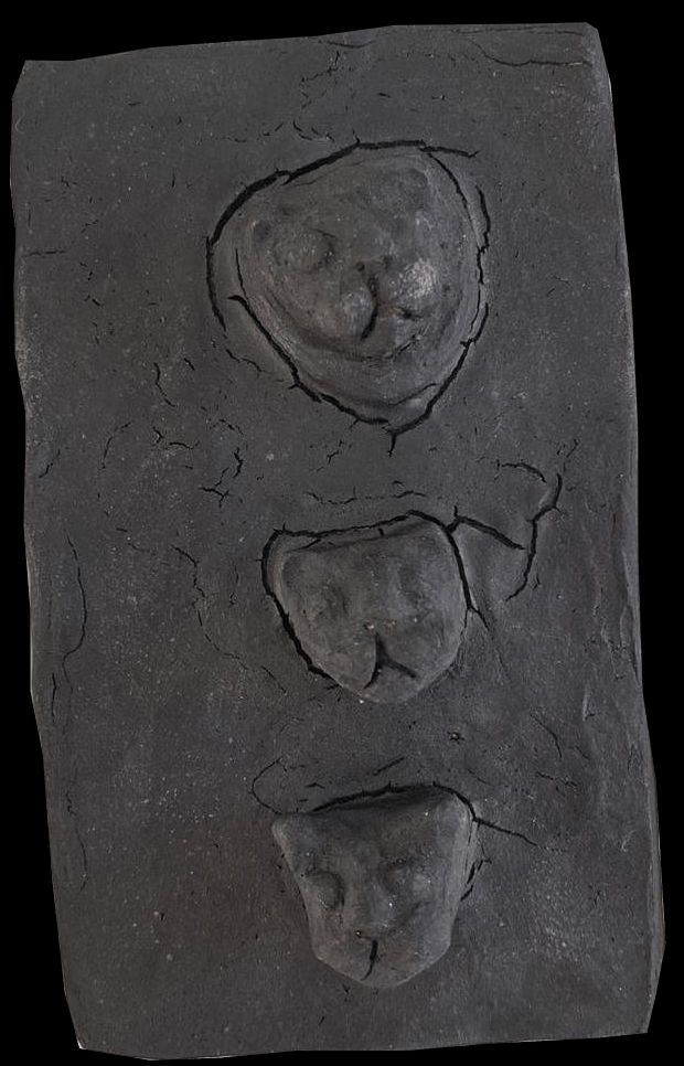 Fanny Irina, Lion, lionceaux, 2022