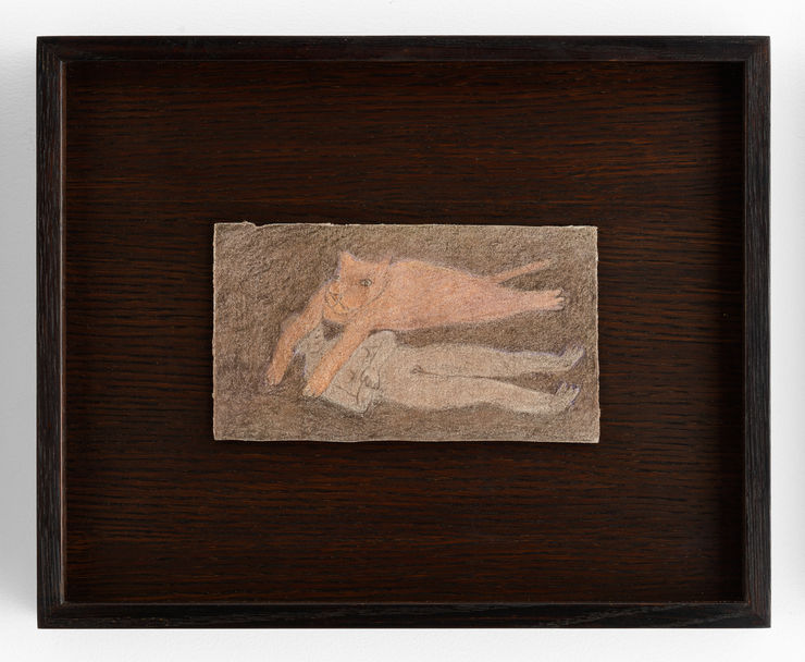 Fanny Irina, Lionne survole, 2022