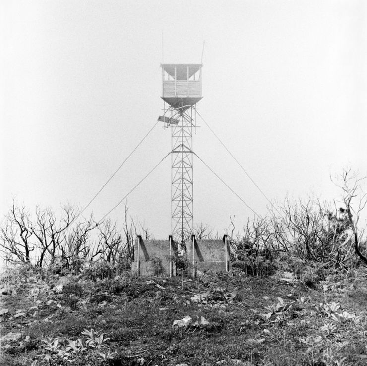 Yo-Yo Gonthier, L'Homme, île de la réunion, 2000 - 2005
