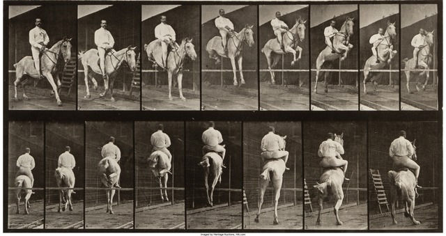 Eadweard Muybridge, Horses Galloping and Jumping (from Animal Locomotion, Plate 645), 1887
