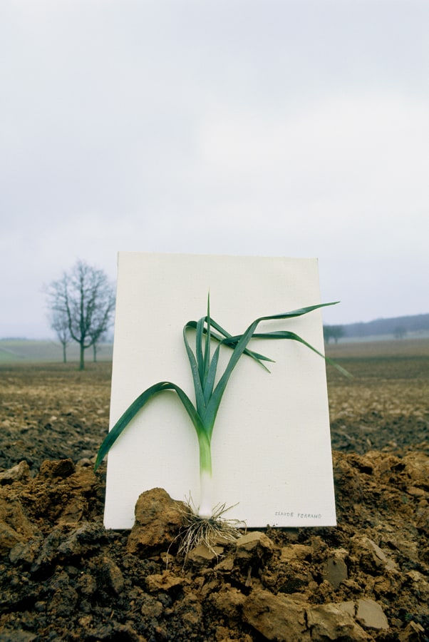 Claude Ferrand, Le Poireau , 1976