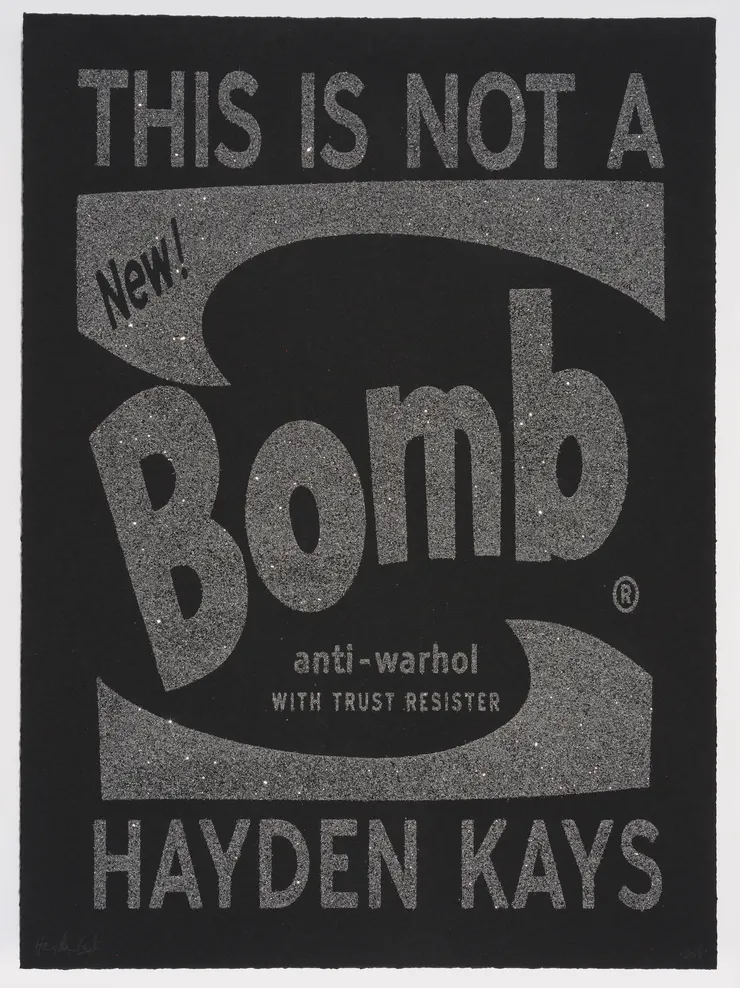 Hayden Kays, This Is Not A Bomb, 2016