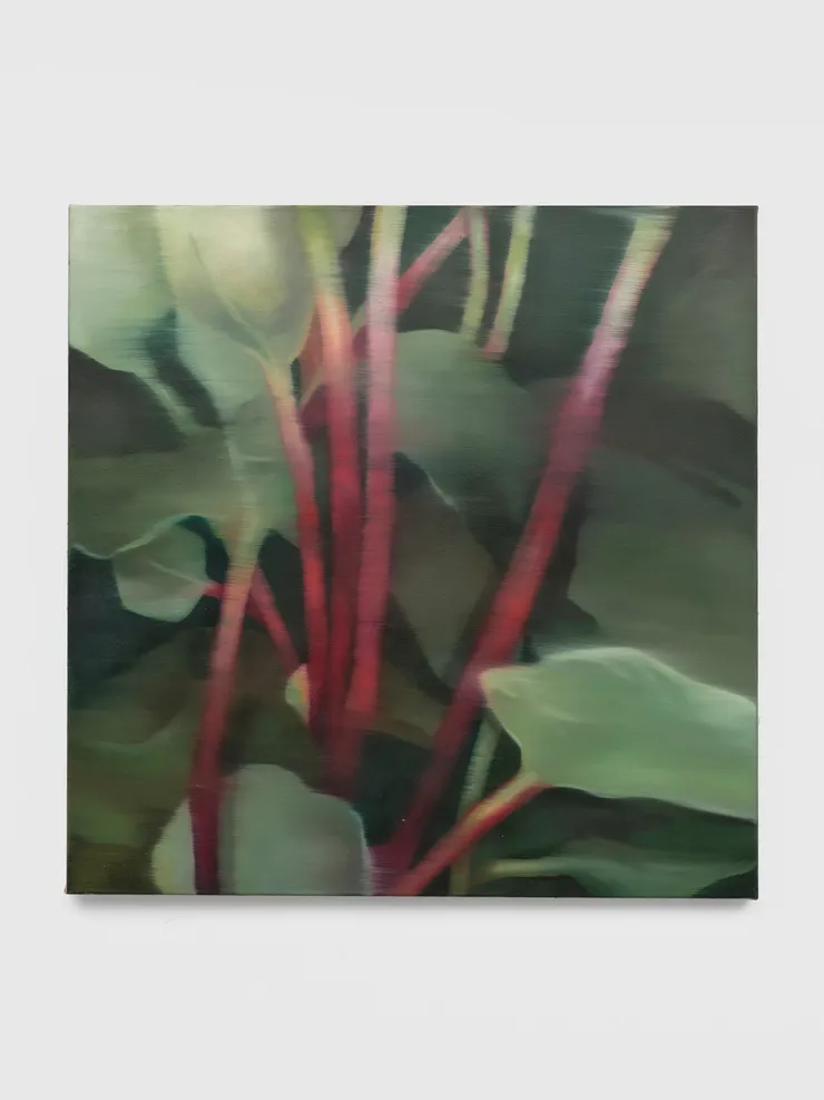 Johanna Bath, Rhubarb, 2023
