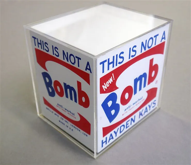 Hayden Kays, THIS IS NOT A BRILLO BOX, 2015