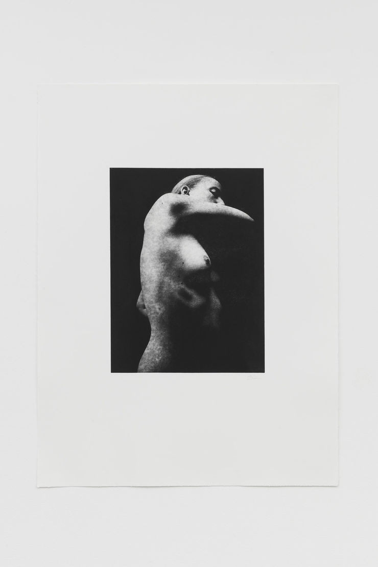 Jack Davison Untitled, 2022 Photopolymer intaglio Image size: 52.5 x 39.5 cm Paper size: 101.5 x 77 cm Edition of 3 plus 3 artist's proofs