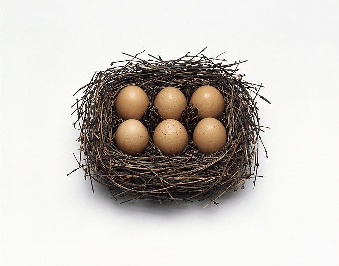 Nancy Fouts, Nest, 2016