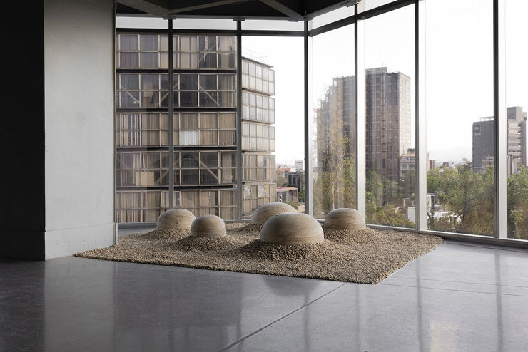 Adeline de Monseignat, Seedscape, 2021