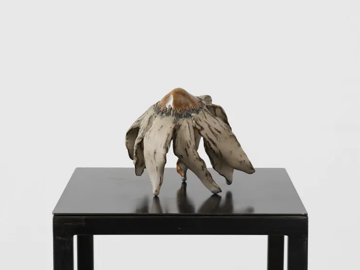 Diane Chappalley, Anxious Flowers IV, 2023