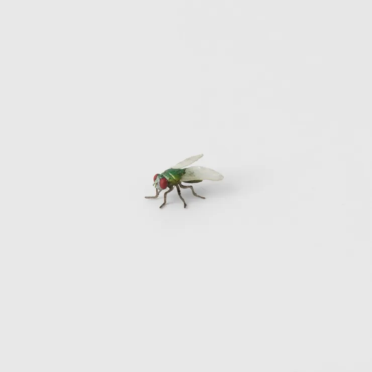 Victor Seaward, A Fly, 2023
