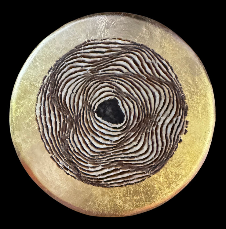 HENAR IGLESIAS, GROWTH RINGS III, 2025