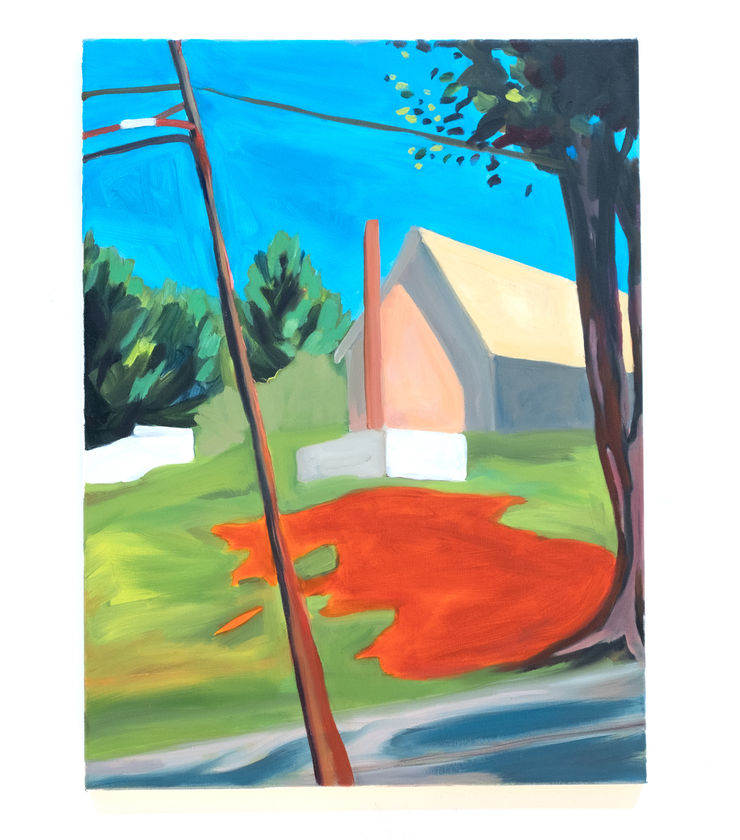 Maureen O'Leary, The Orange Shadow, 2020