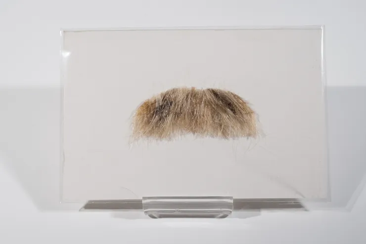 T. Kelly Mason, Moustache, 2019