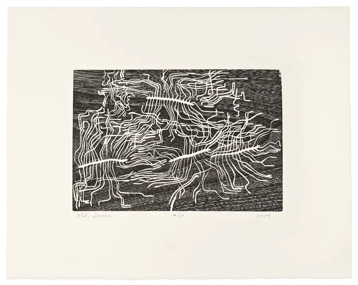 Malia Jensen, Wormcut #06, 2009