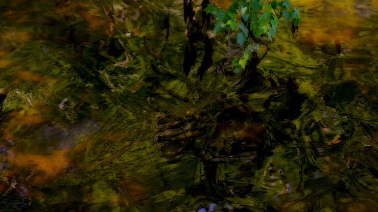 peter campus, strafe, 2022