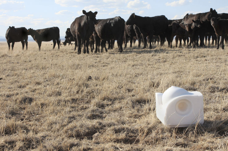 Malia Jensen, High Noon (Left), 2011