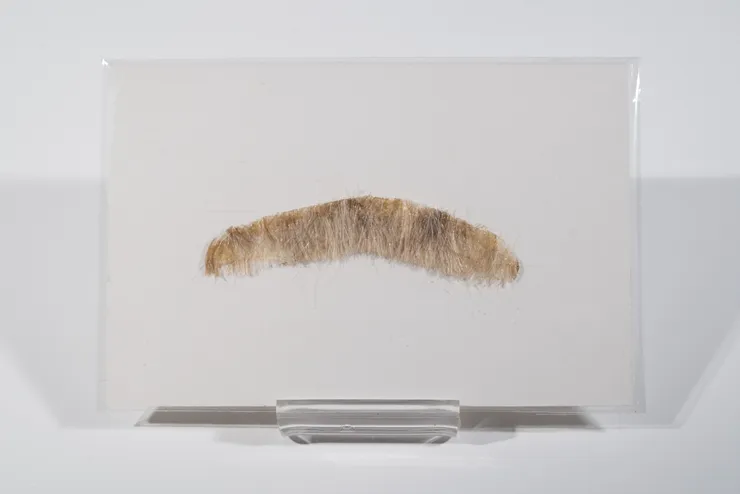T. Kelly Mason, Moustache, 2019