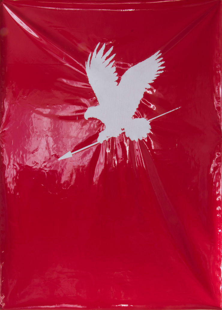 Maryam "Mimi" Amini, Flag, from ''Eagle'' Series, 2018