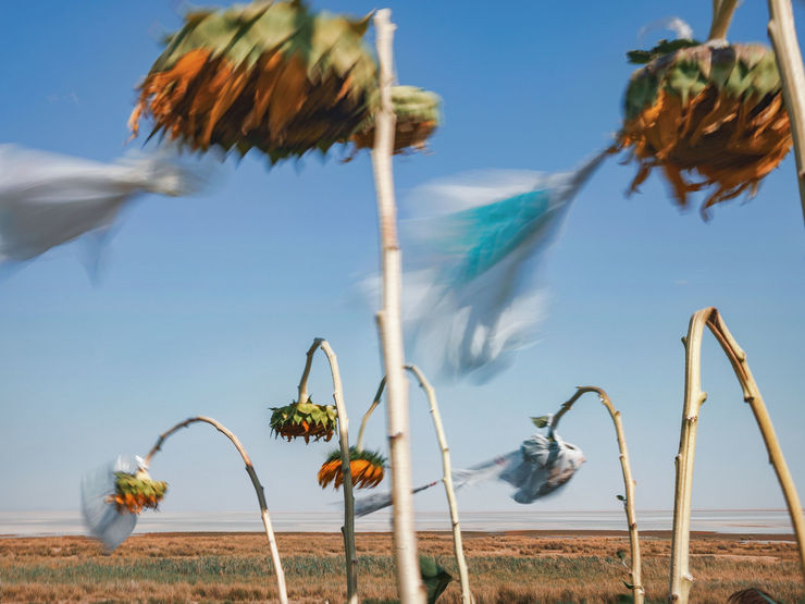 Newsha Tavakolian, Untitled, 2021