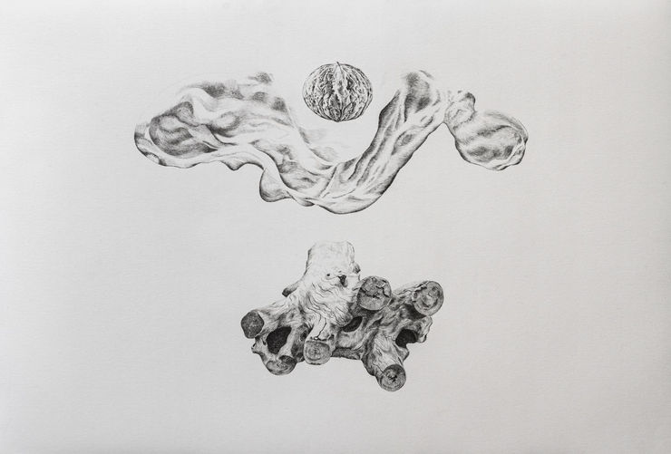 Nima Zaare Nahandi, Study for NUX, 2019