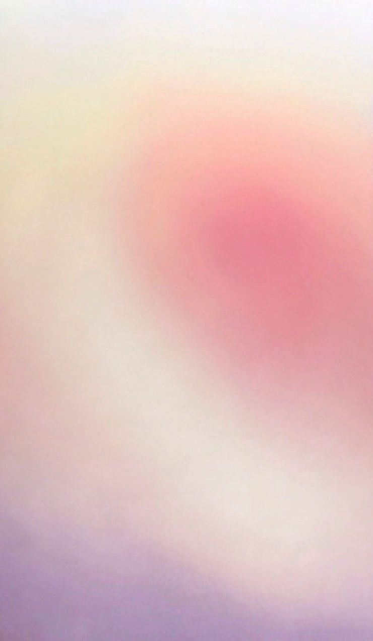 Kiarash Alimi, PV23, PB28, PR254, PV19, PW4, PY138, 2021