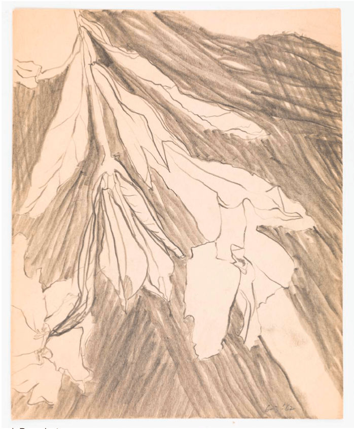 Deborah Remington, Untitled, 1962