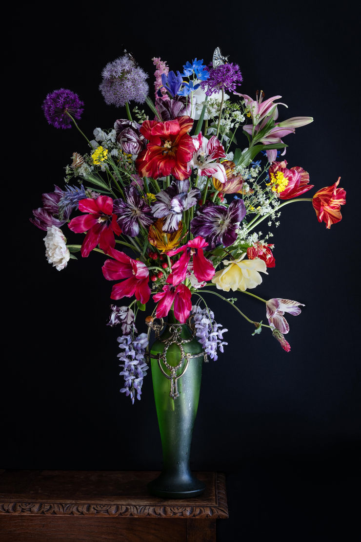 Iris Gonzalez - Tulip Flame