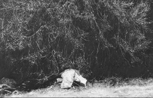 James Buss, C2LA_3951, 2006