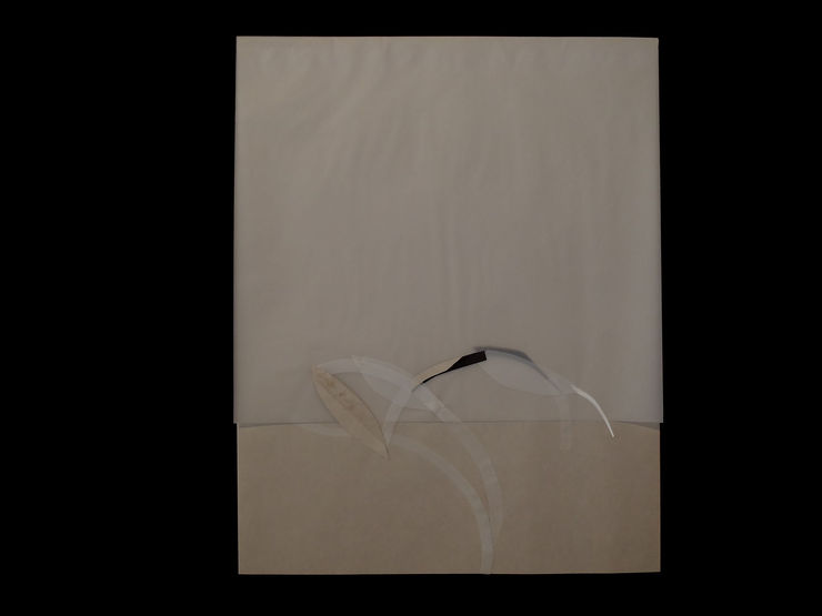 Steve DeGroodt, Hortus Botanicus #552, 2003