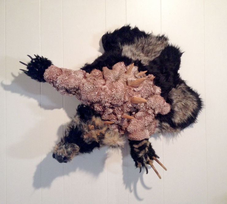 Jared Pankin, Bear Skin Rug, 2014