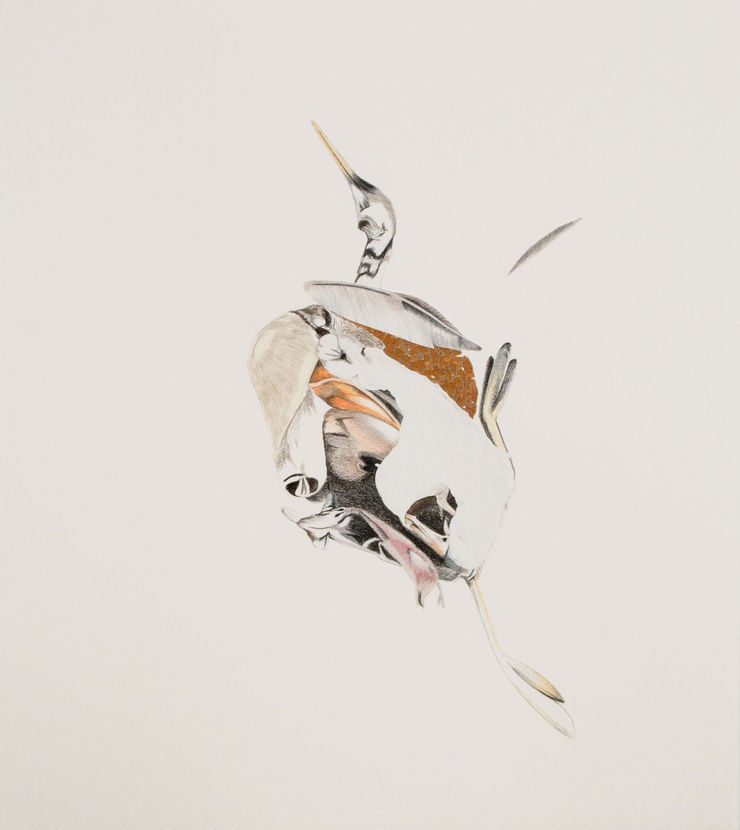 Andre Yi, Dead Bird Study #1, 2012