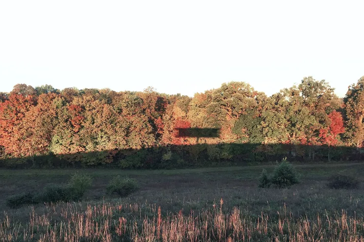 Alex Schweder, Reactor Shadow (with Ward Shelley), 2017