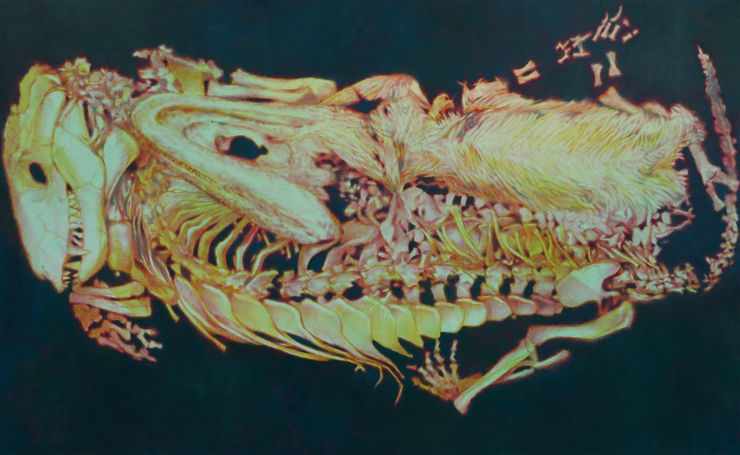 Sanghyuk Kim, Love decayed, 2025