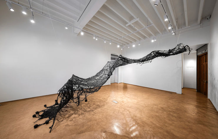 Pushpakanthan Pakkiyarajah, Charred hyphal mat, 2025