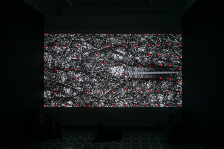 Pushpakanthan Pakkiyarajah, Straddling Ocean and Sky, 2021-2022