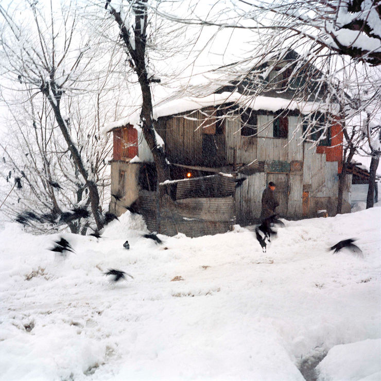 Sohrab Hura, Snow, 2015-2019