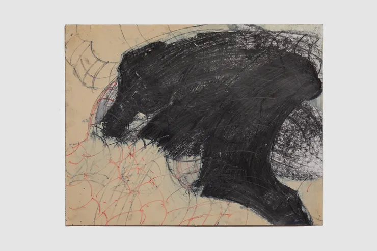 Kaveri Raina, to find the hidden self, 15, 2025-2026