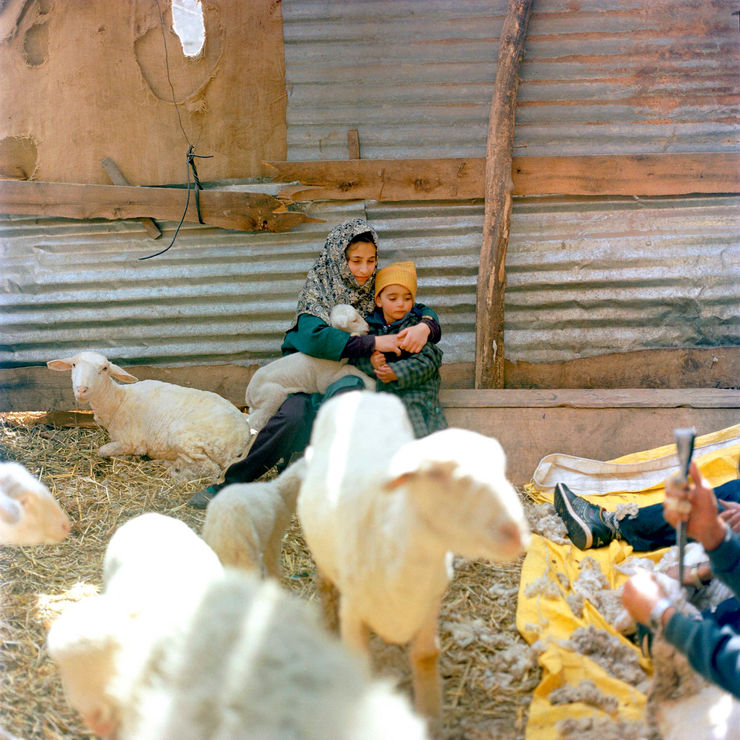 Sohrab Hura, Snow, 2015-2019