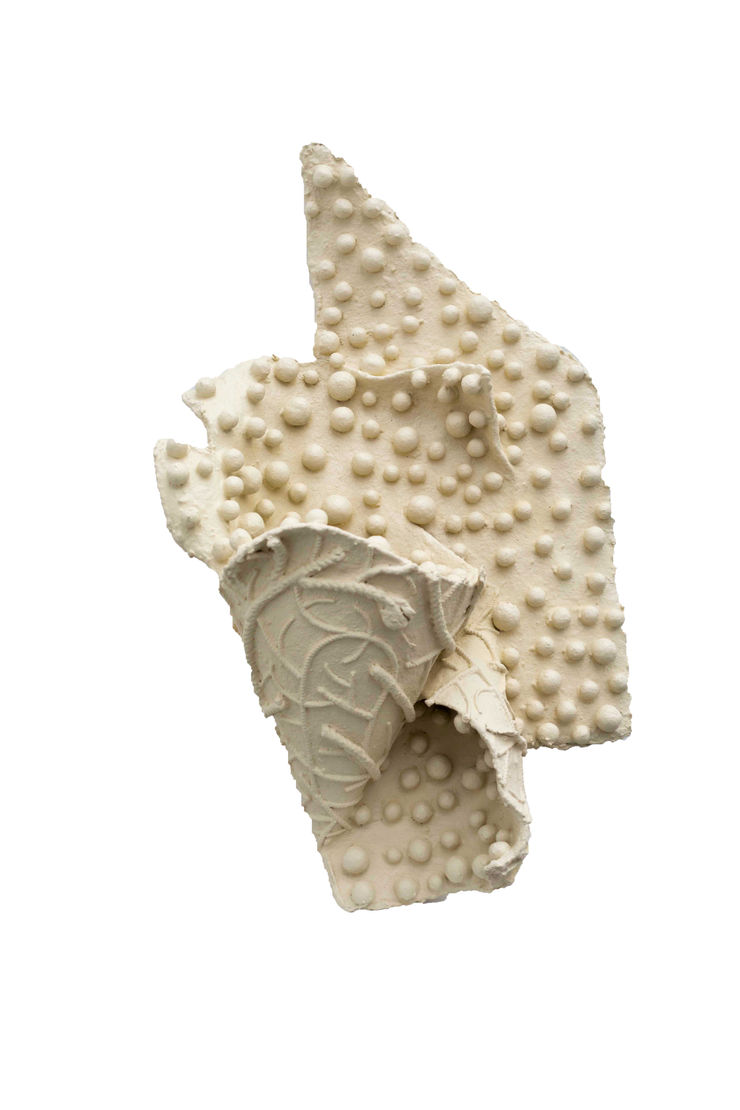 Pushpakanthan Pakkiyarajah, Wounded flowers, 2024-2025