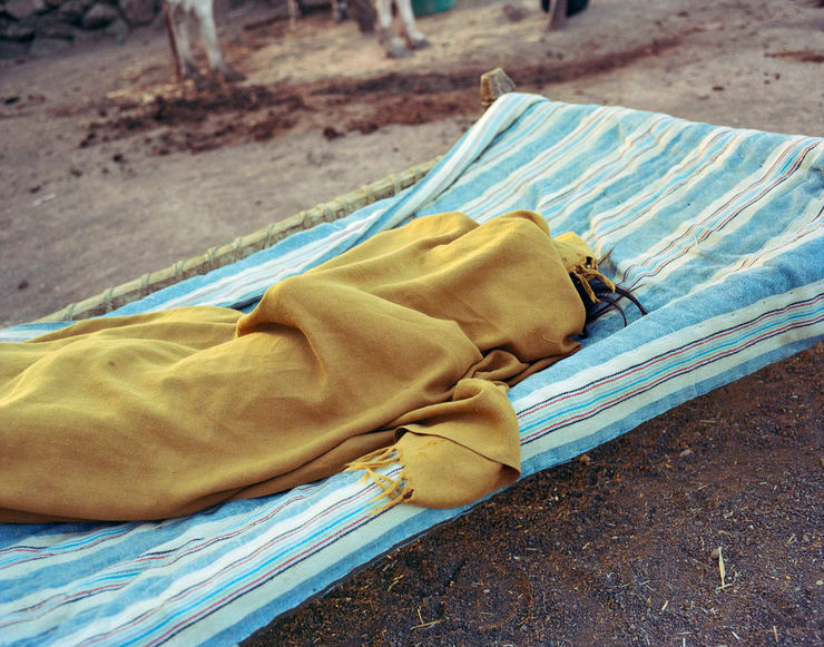 Sohrab Hura, The Song of Sparrows in a Hundred Days of Summer, 2013-2017