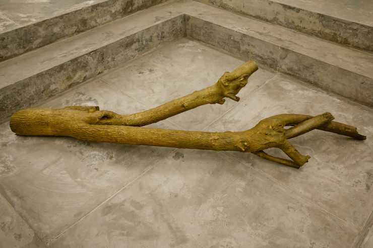 Adip Dutta, Vestige, 2020